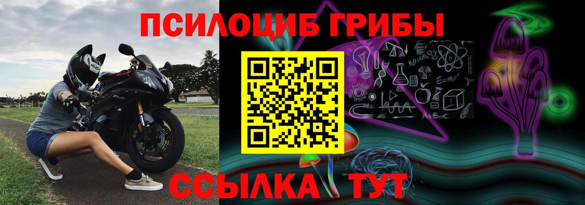 Псилоцибиновые грибы Psilocybine cubensis  наркотики  Полысаево  Галлюциногенные грибы Psilocybe  Вход с VPN 